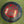 Load image into Gallery viewer, Horizon C-Line Drop