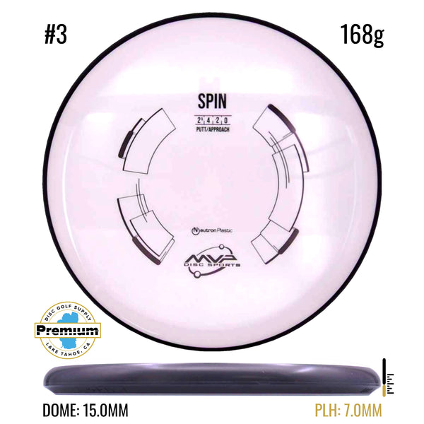 Neutron Spin
