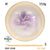 Used Bomber Blast Classic Glow Firebird