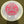 Load image into Gallery viewer, 2025 Vaino Makela Star Teebird