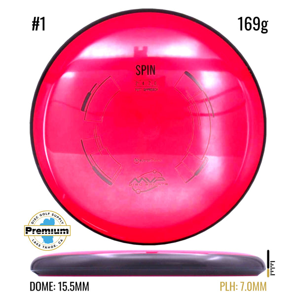Neutron Spin