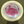 Load image into Gallery viewer, 2025 Greg Barsby Champion Proto Glow Eagle