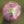 Load image into Gallery viewer, 2025 Paul McBeth Z Swirl Luna