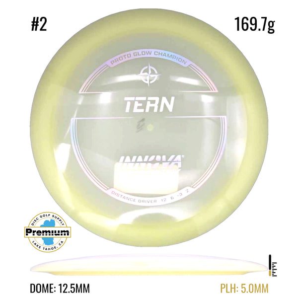 Proto Glow Champion Tern