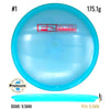 Used F2 Champion Roc3