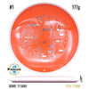 Neutron Detour - Tahoe Topo Stamp